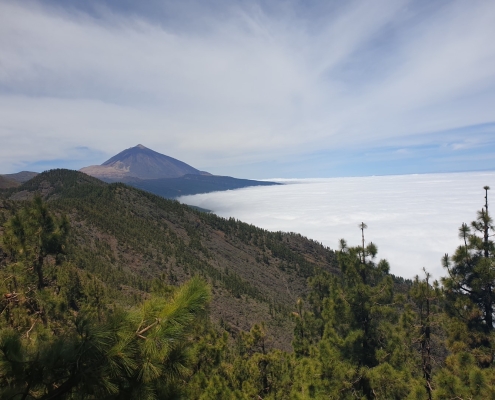 Wolkenmeer am Teide.