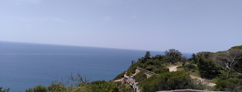 Wanderweg im Naturpark La Breña y Marismas del Barbate in Cádiz.