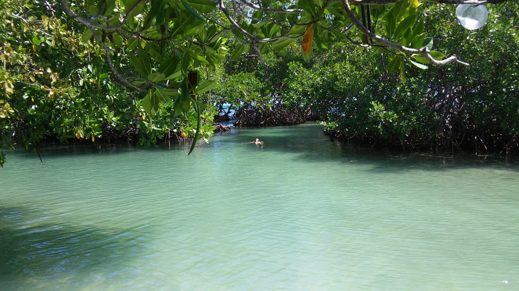 Der Strand Playa Manglillo in Puerto Rico.