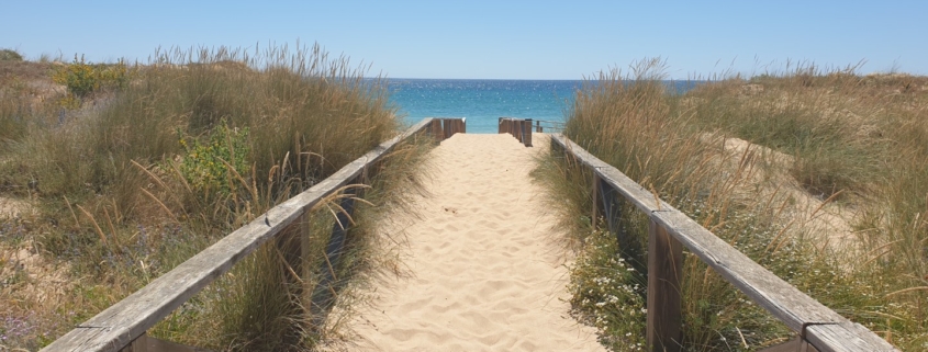 Die schönsten Strände in Cádiz: Zugang zum Strand von El Palmar.