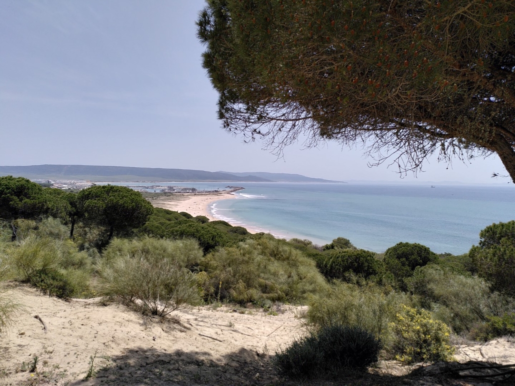 Playa de la Hierbabuena in Barbate, Provinz Cádiz.